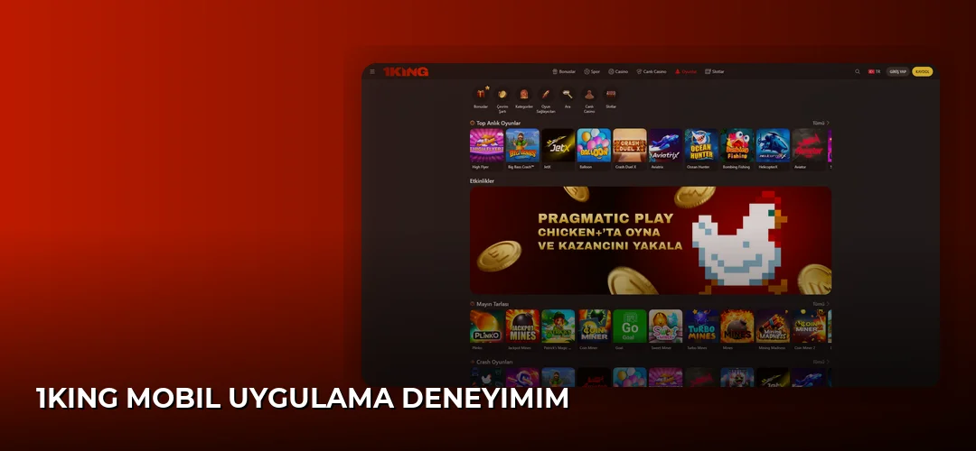 1King Mobil Uygulama Deneyimim