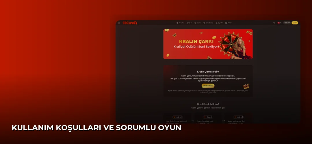 Kullanım Koşulları ve Sorumlu Oyun